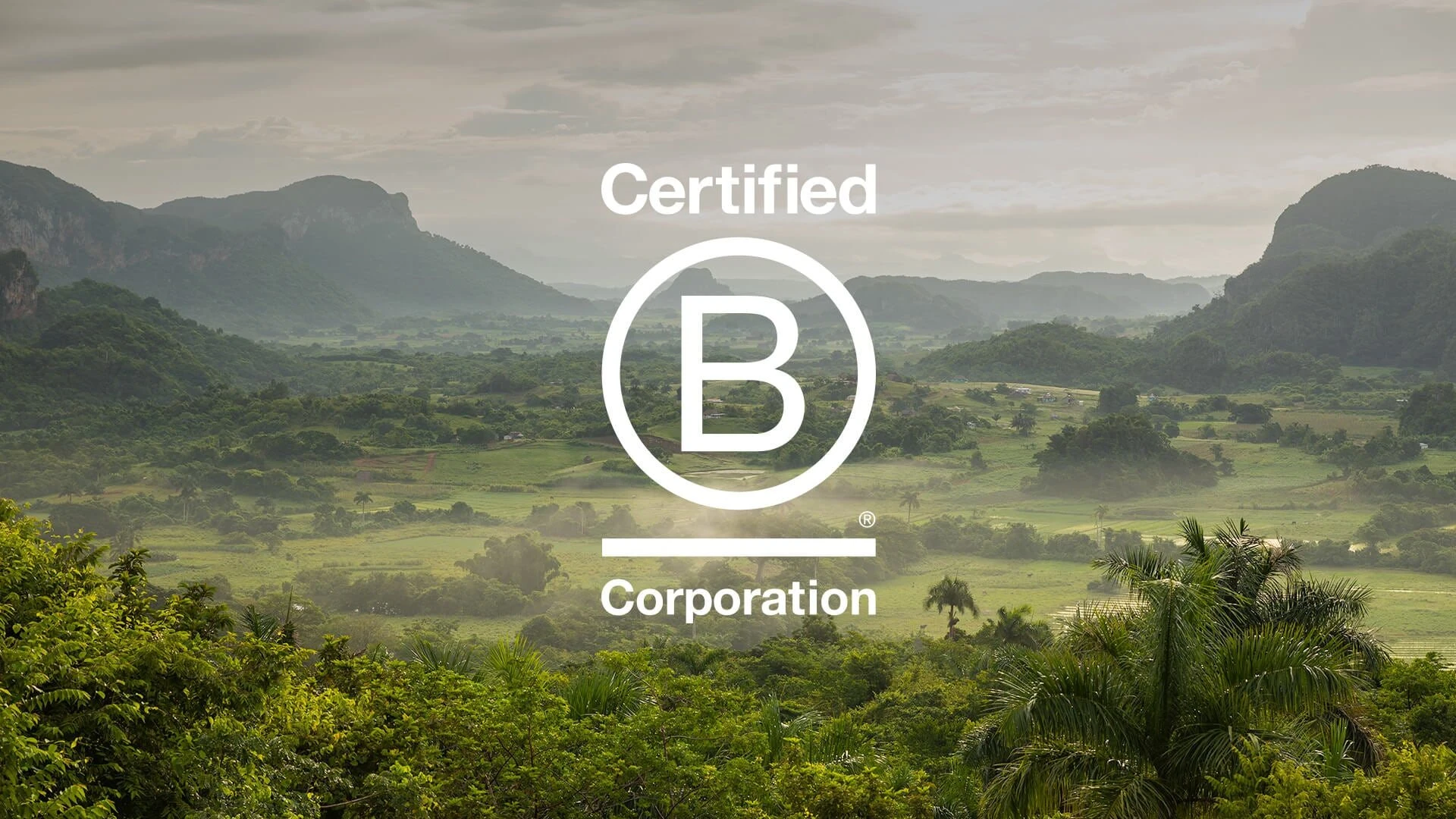 b corp max health club