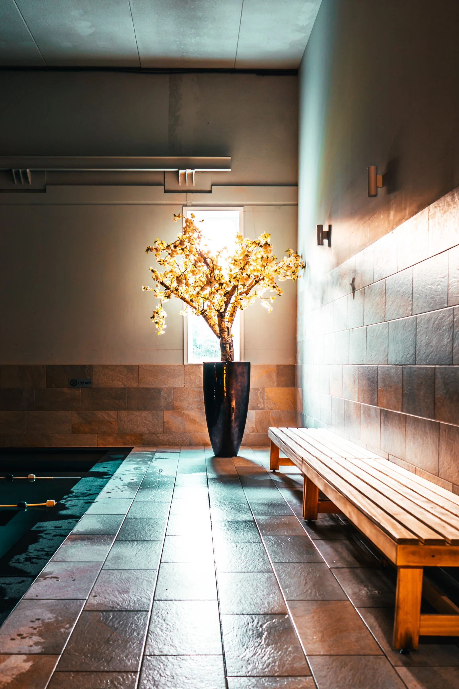 Zwembad Max Health Club Klein Zwitserland